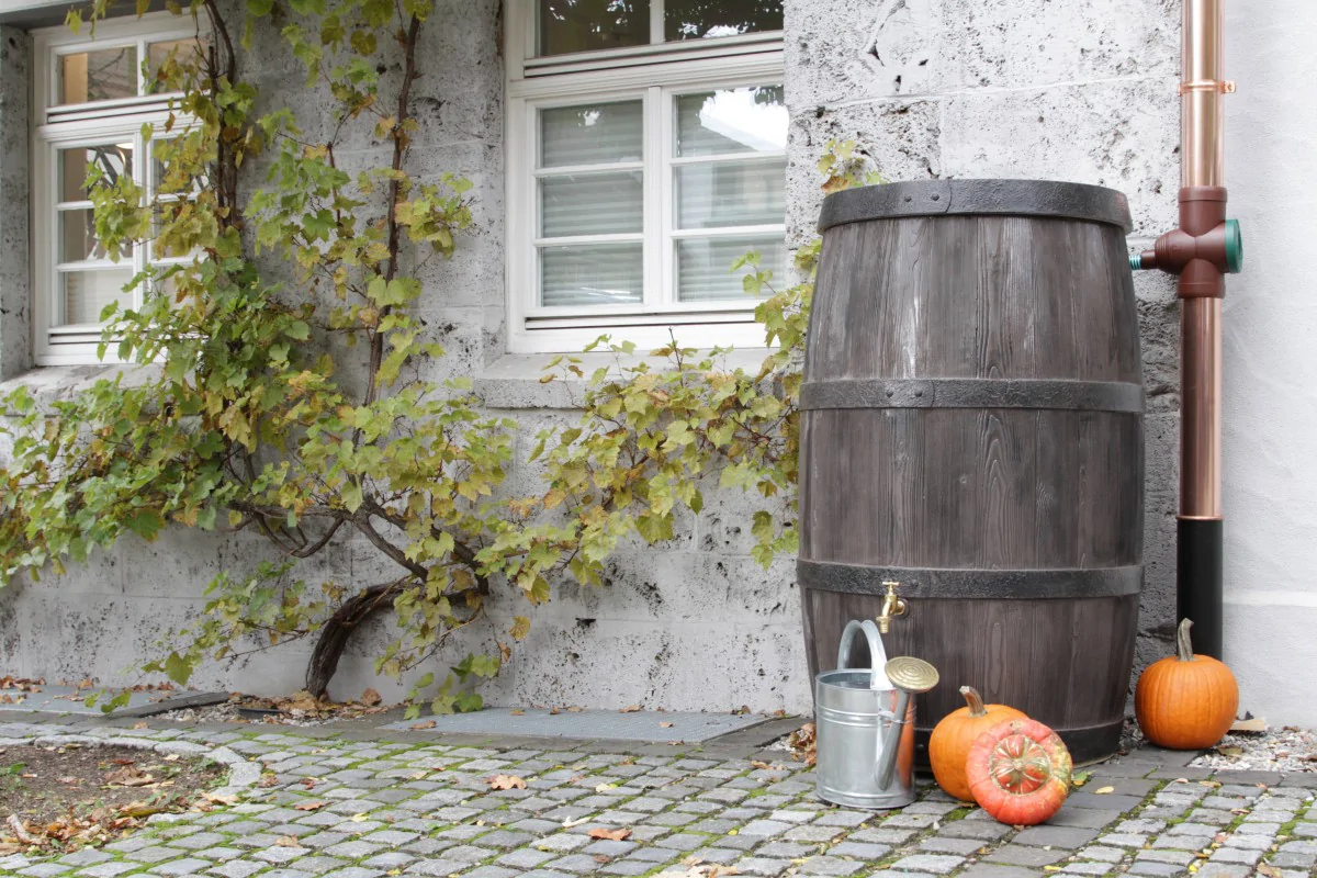 BECZKA, ZBIORNIK NA DESZCZÓWKĘ BURGUND 500L