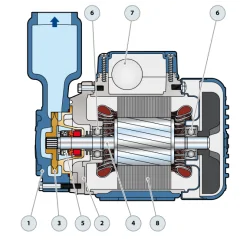 Pompa powierzchniowa PEDROLLO PKSM65 - 230V, 0.55kW do wody czystej