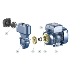 Pompa powierzchniowa PEDROLLO PKSM65 - 230V, 0.55kW do wody czystej