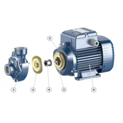 Pompa powierzchniowa Pedrollo PKm 60 | 230V - 0.37kW do czystej wody - ogród, dom, hydrofor