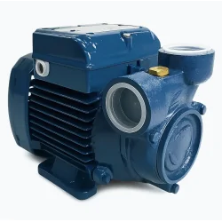 Pompa obiegowa Pedrollo PQ 60 | 230V, 0.37 kW - 40 l/min