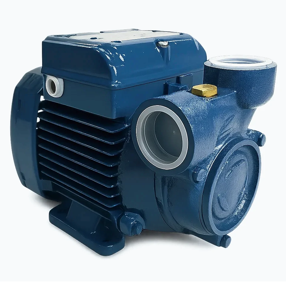 Pompa obiegowa Pedrollo PQ 60 | 230V, 0.37 kW - 40 l/min