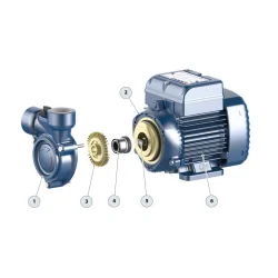 Pompa obiegowa Pedrollo PQ 60 | 230V, 0.37 kW - 40 l/min