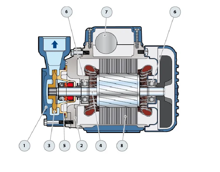 Pompa obiegowa Pedrollo PQ 60 | 230V, 0.37 kW - 40 l/min