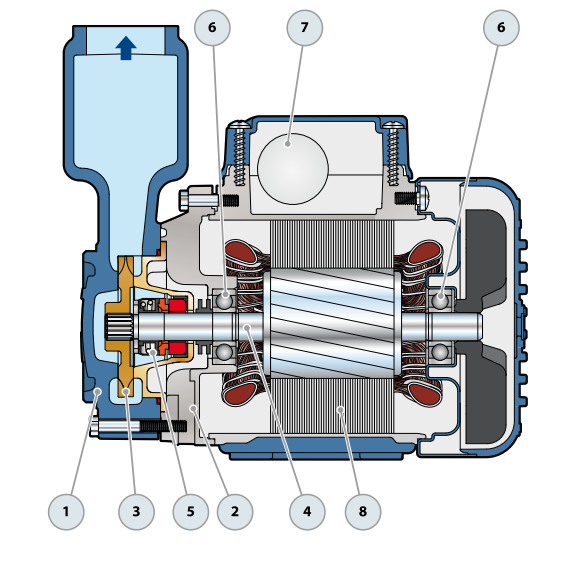 PEDROLLO PKSM65 dane techniczne