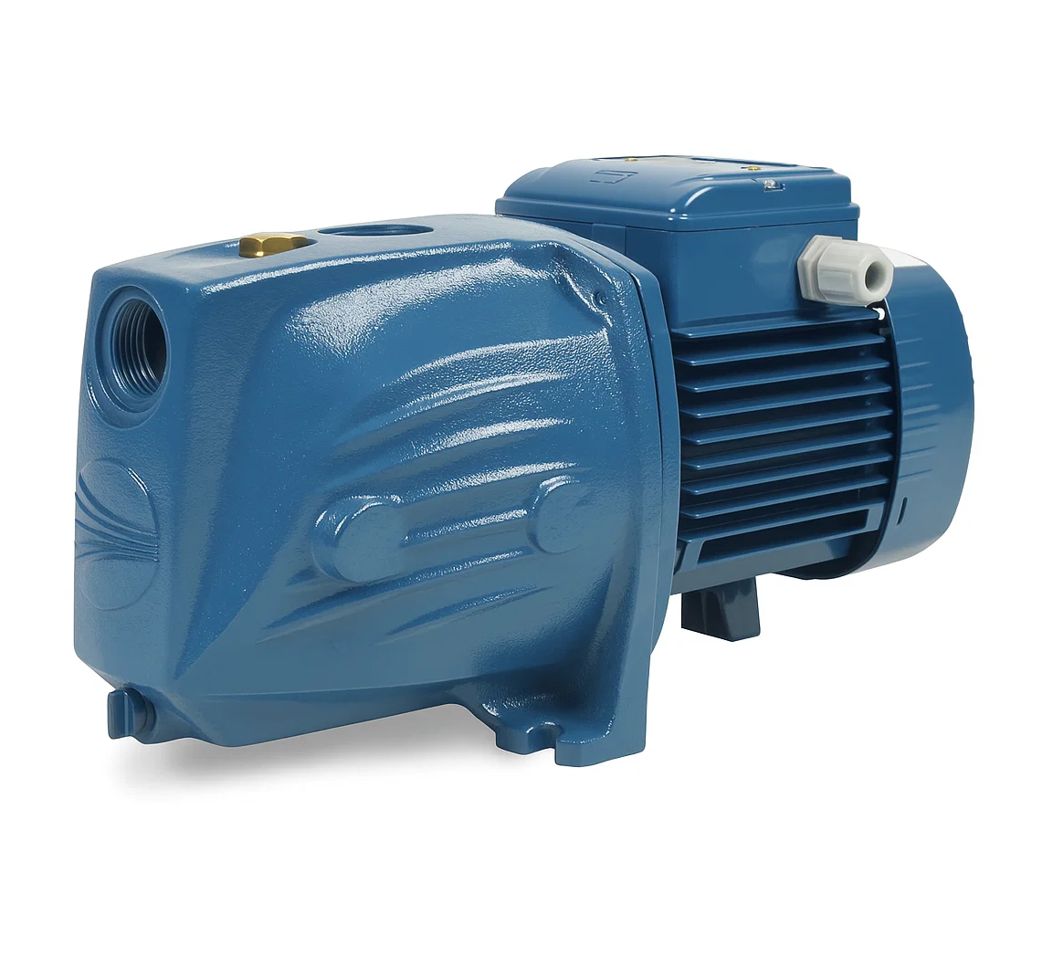 Pompa Pedrollo JSWm 1A