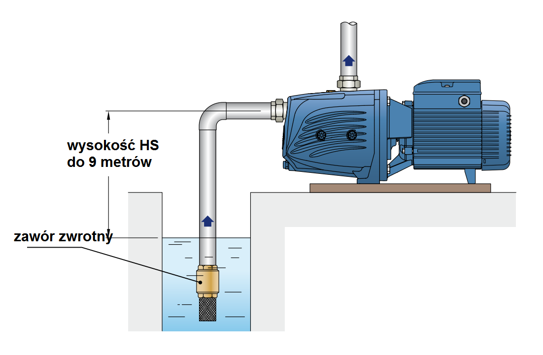 Pompa Pedrollo JSWm 1A schemat