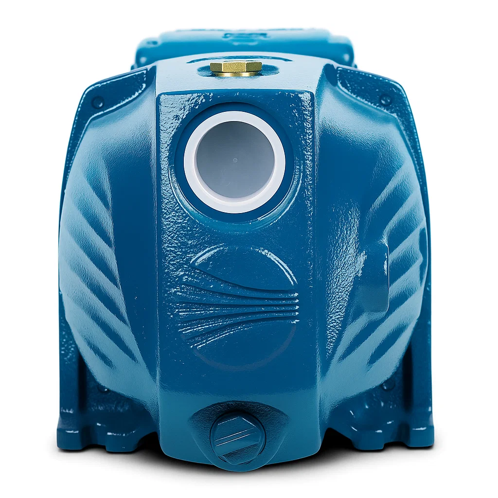 Pompa Pedrollo JSWM 2A