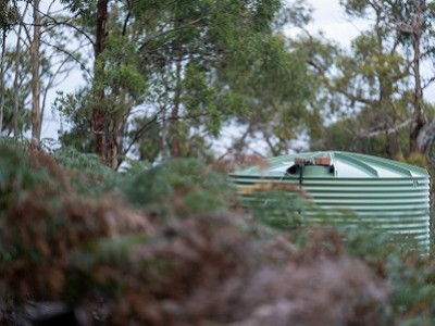 Dobór i obliczanie wydajności pompy wodnej do nawadniania ogrodu deszczówką