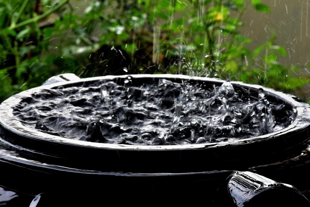 Podatek deszczowy i opłaty za deszczówkę - zasady i stawki w 2024 i 2025