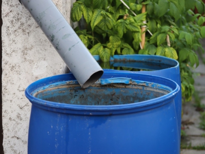 Jakie są najnowsze trendy w zbiornikach na wodę deszczową?