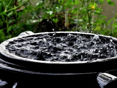 Podatek deszczowy i opłaty za deszczówkę - zasady i stawki w 2024 i 2025